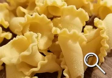 fresh pasta shape Giglio Riccio from pastiamo